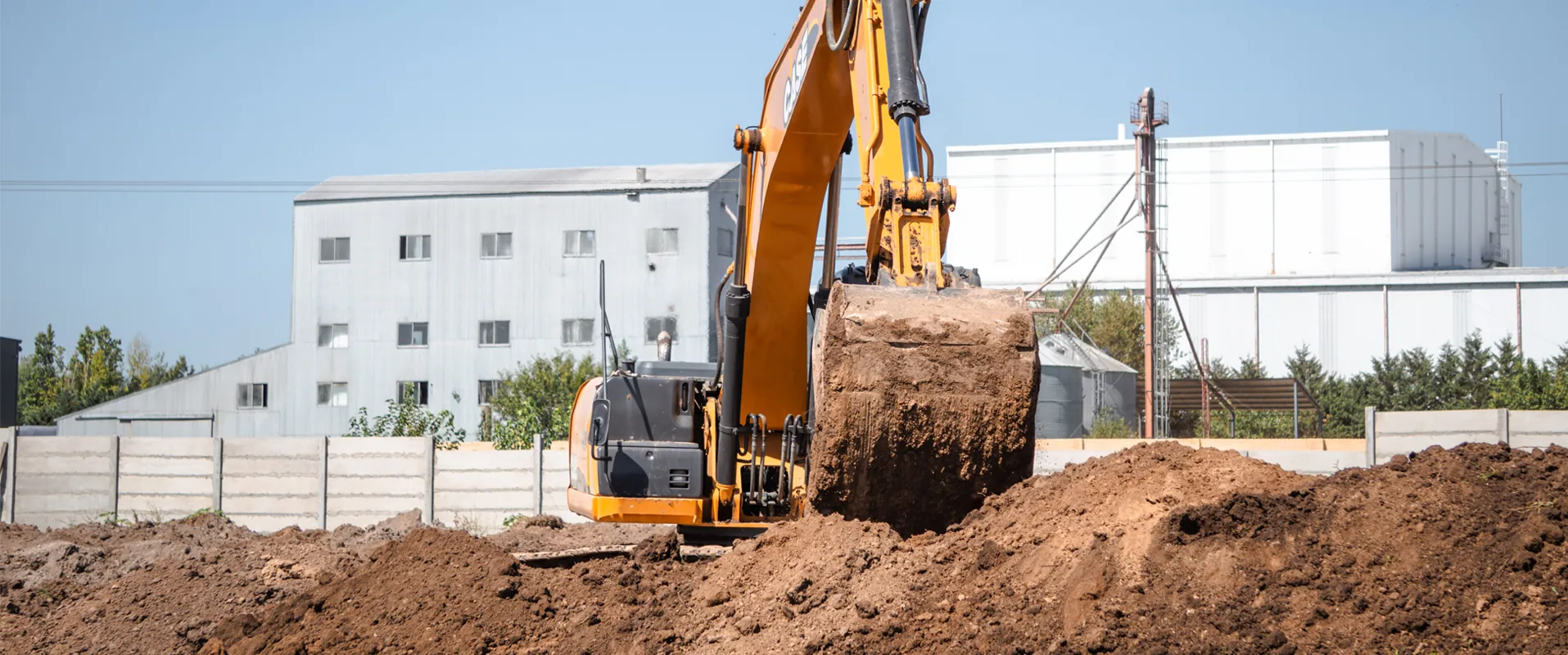 carousel-pip_0000_Layer 6